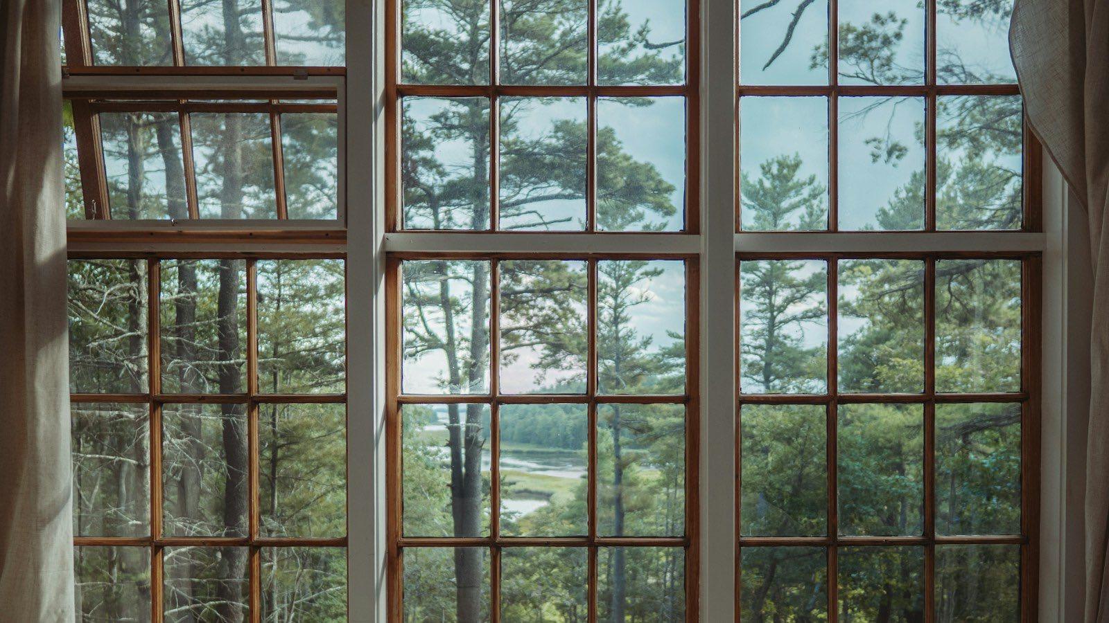 Older wood-sash windows looking out on Sierra foothill pines — the kind of single-pane glass California window rebates and insurance discounts are meant to replace